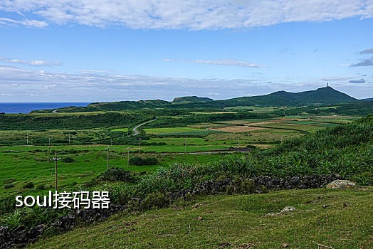 中国虚拟手机接码号