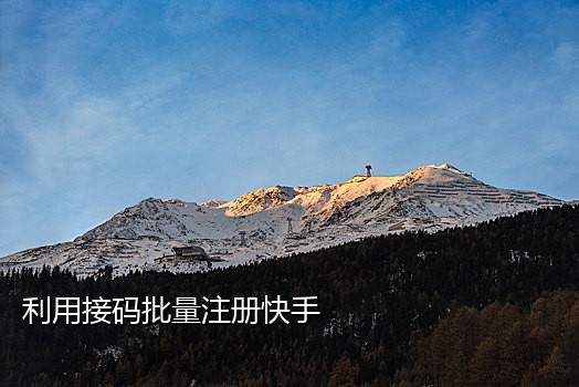 中国手机号接验证码平台