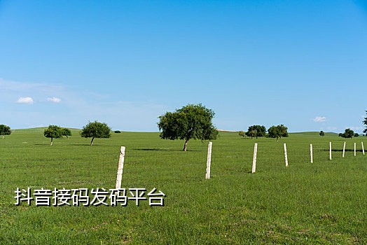 致富宝手机接码