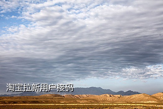 支付宝接码地址