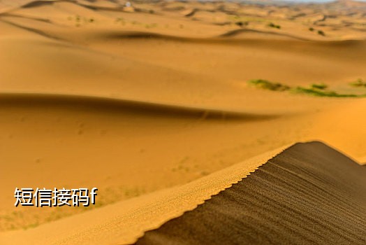 支付宝接码app