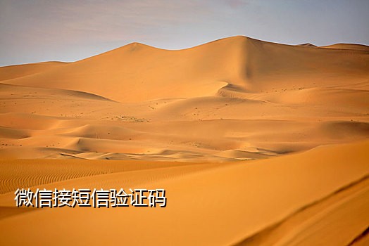 在线接码平台云短信