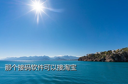 云码接码短信平台下载安装