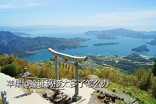 用接码器注册苹果id