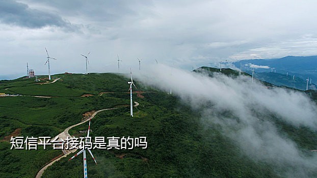樱花短信接码