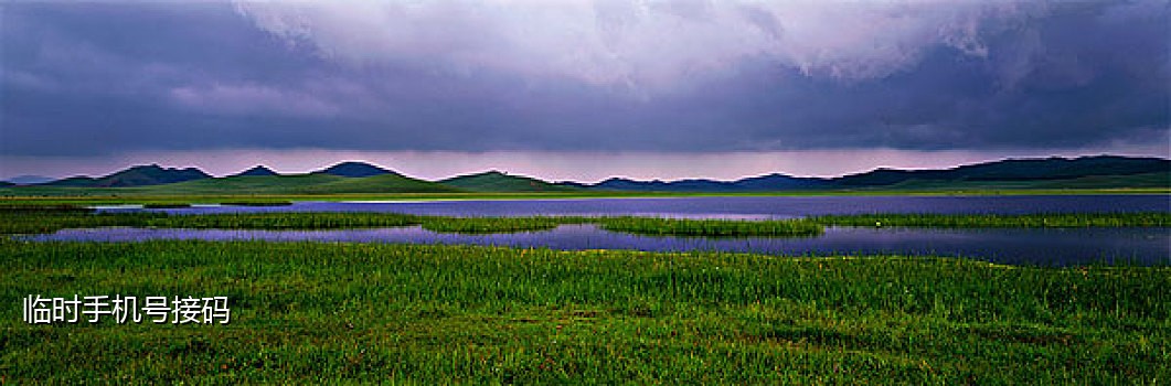 印度手机短信接码