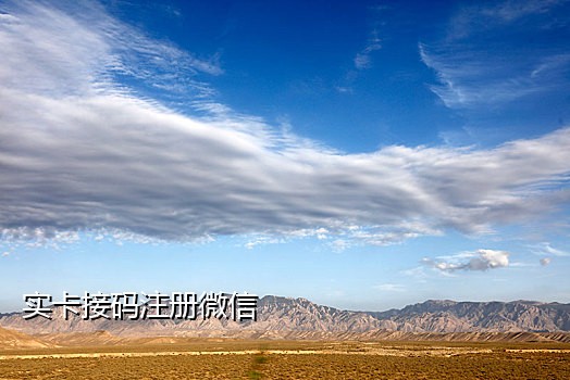 移动手机接码验证平台