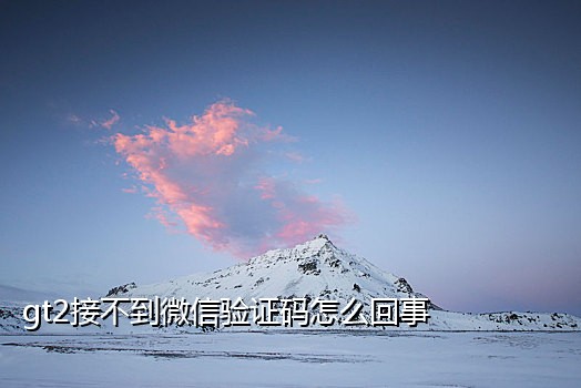 亚马逊手机号接码软件