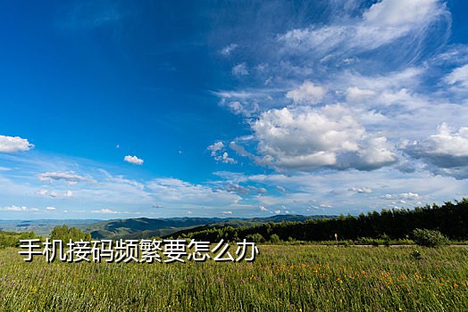 虚拟手机号码接码
