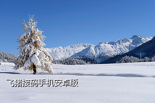 虚拟电话接码软件哪个好