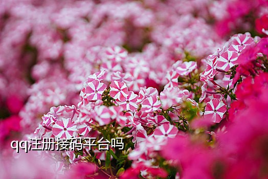 虚拟电话接短信验证码免费