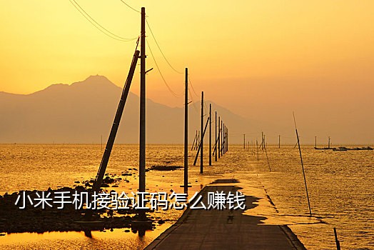 熊猫手机接码