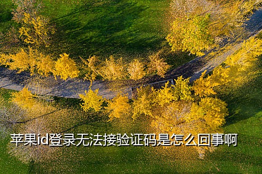 小黄车接不到短信验证码