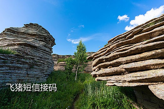 小号平台接码注册微信