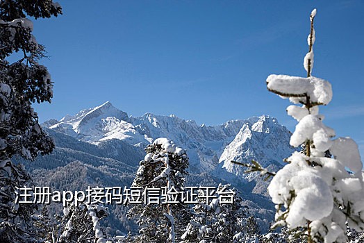 为什么登快手接不到验证码