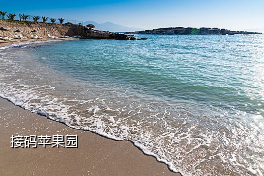 微信扫码支付api咋接