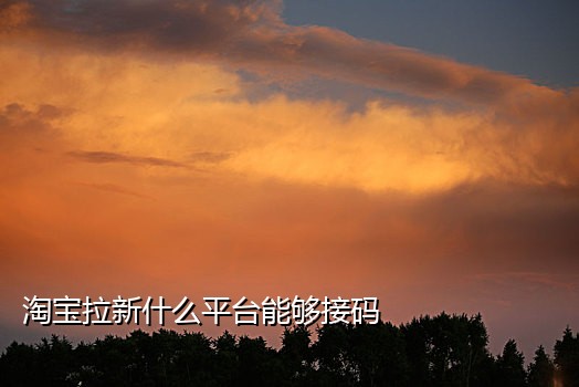 微信接码注册平台官网入口