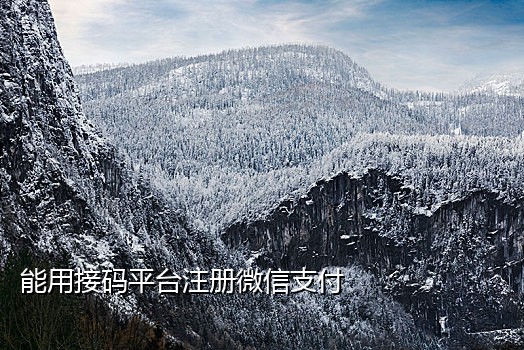 微信接码平台哪里下载