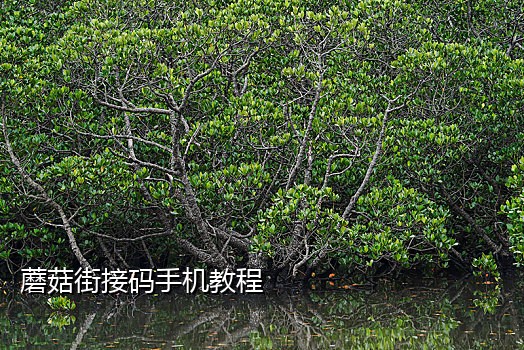 手机接码平台6