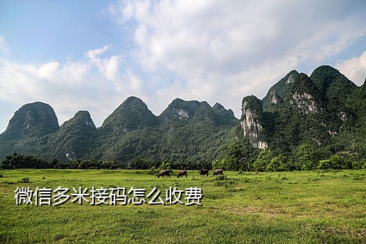 外国接码短信验证码平台有哪些