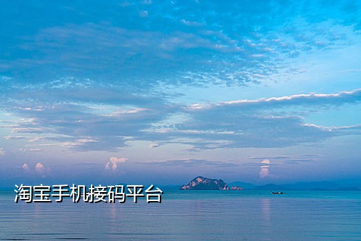 微博接码注册