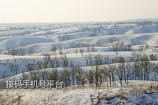 网络手机接验证码