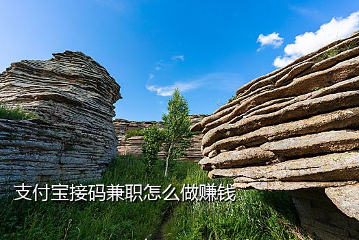 土豆手机验证码接码