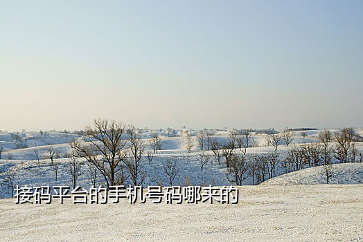 腾讯微信注册要接码接到哪