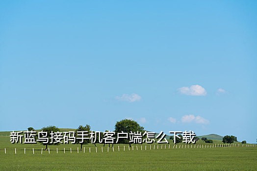 淘宝新号接码渠道有哪些