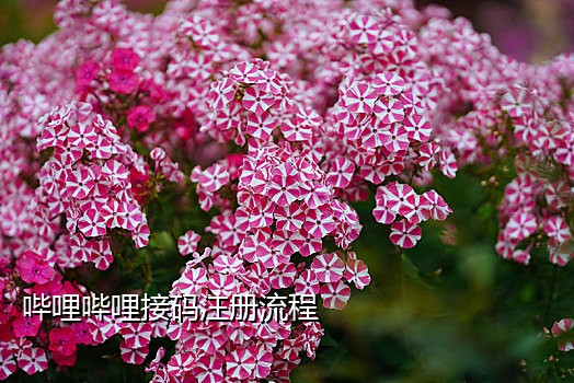 淘宝买东西要接验证码