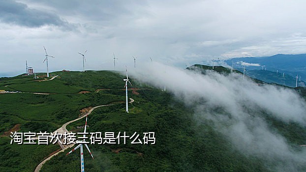 淘宝接码怎么用