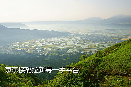 淘宝接码小号