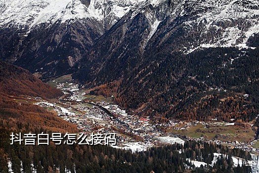 淘宝接码平台哪个好用吗