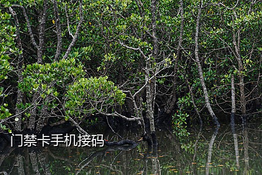 探探接码佣金安全吗