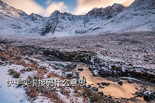 速码接码平台淘宝