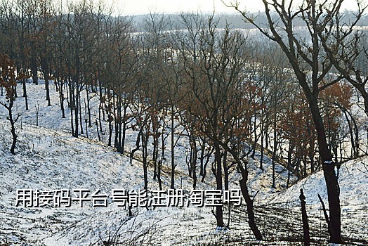 手机怎样无线接码