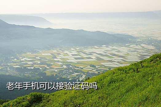 手机验证码接码破解版软件