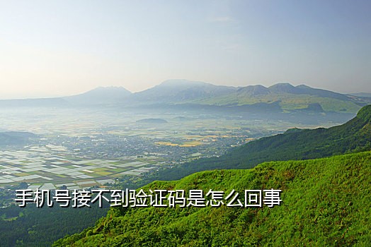 淘特接码渠道是什么