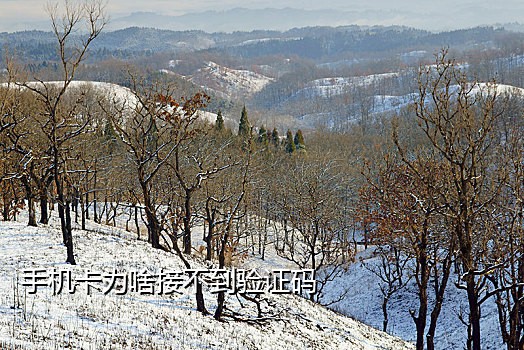 手机卡接码中间商犯法吗