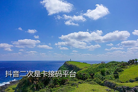 手机卡接码什么意思