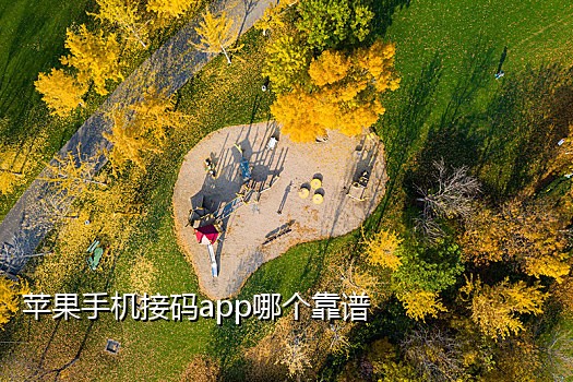 手机卡接码的工作