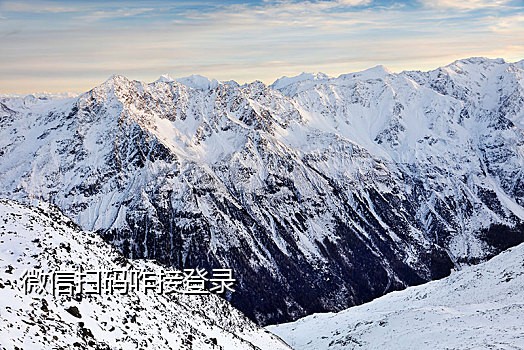 手机卡接码