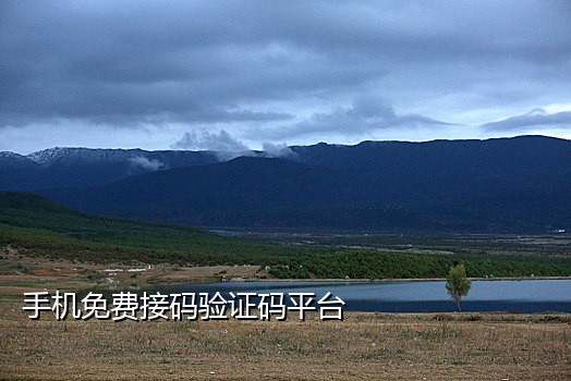 手机接验证码特别慢