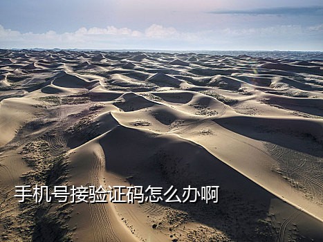 手机接码注册微信