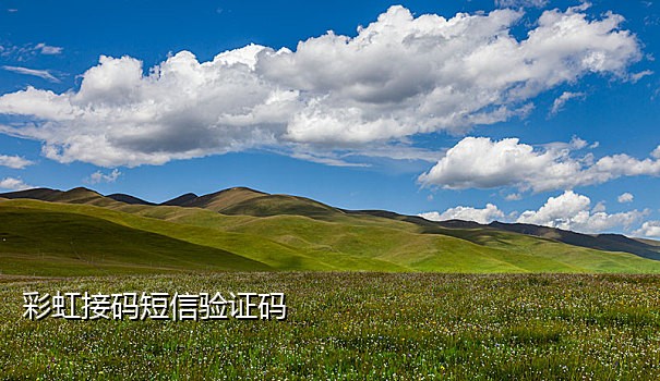 手机接码验证平台下载