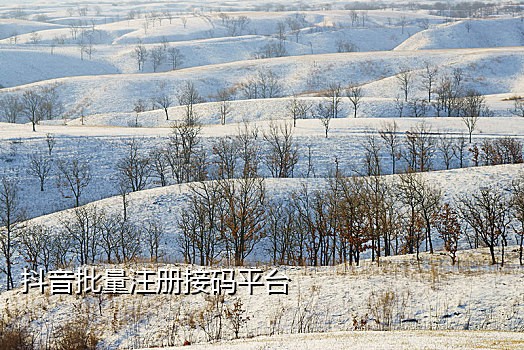 手机接码实卡