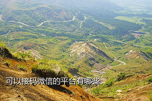 手机接码平台怎么赚钱