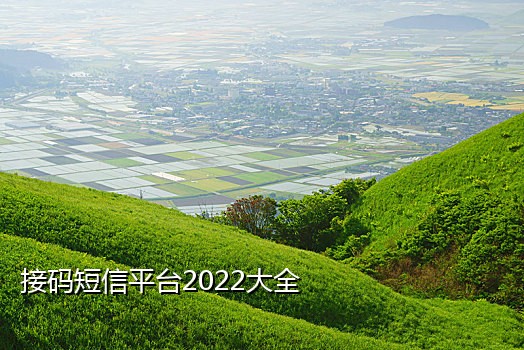 手机接码平台是什么意思呀