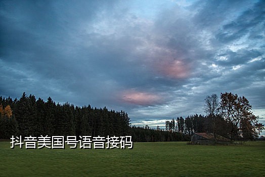手机接红外扫码