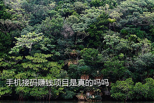 手机接短信验证码谁付款